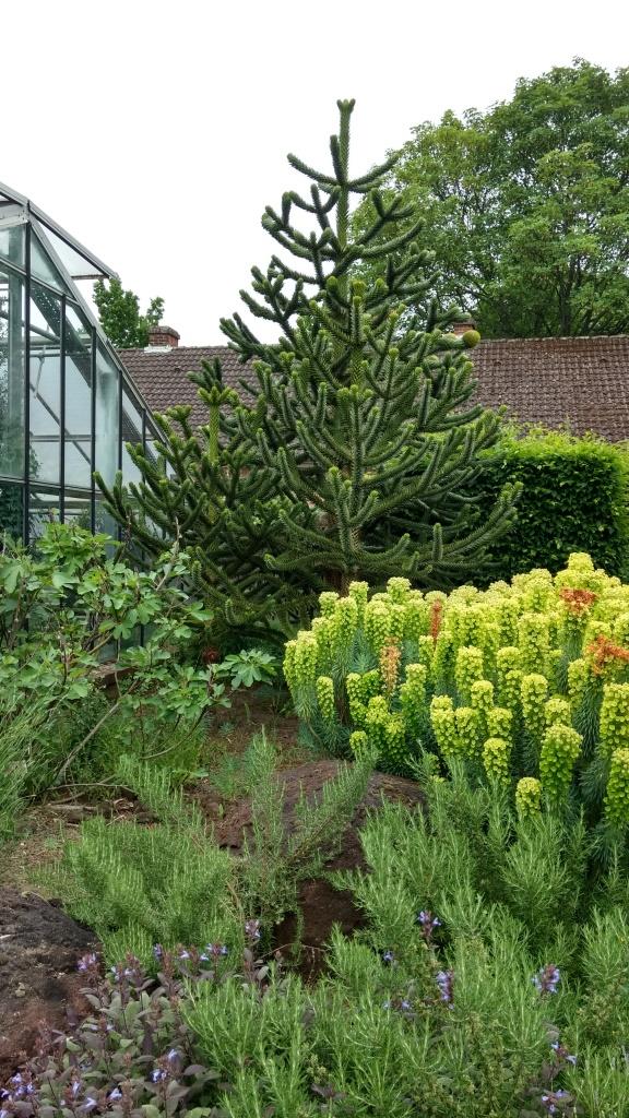 Berggarten in Hannover