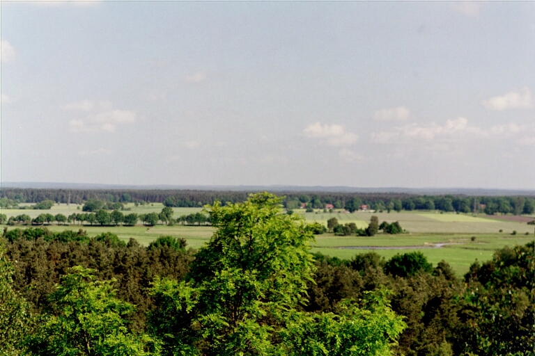 Allerniederung bei Hornbostel