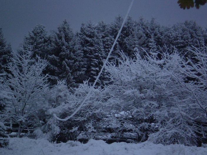 part of the 40m longwire indicated by snow
